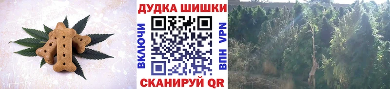 shop как зайти  продажа наркотиков  Палласовка  Canna-Cookies марихуана 