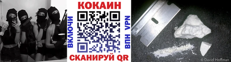 Cocaine FishScale  МЕГА как войти  Палласовка  купить  цена 