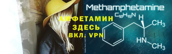 дурь Няндома