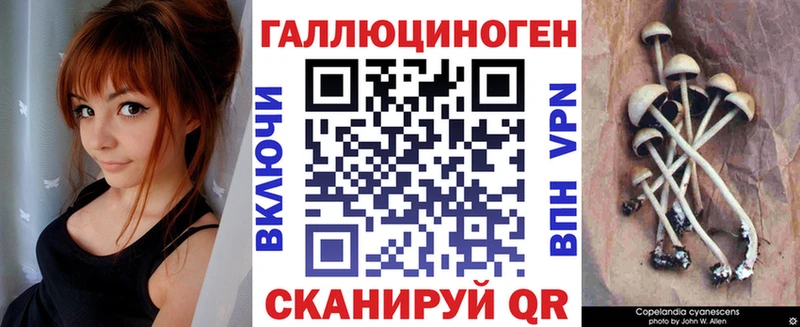 Галлюциногенные грибы Psilocybine cubensis Палласовка